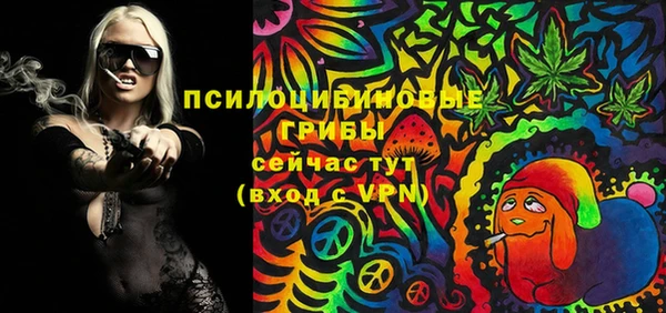 таблы Горнозаводск