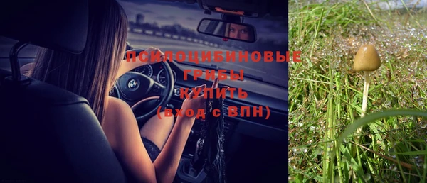 таблы Горнозаводск