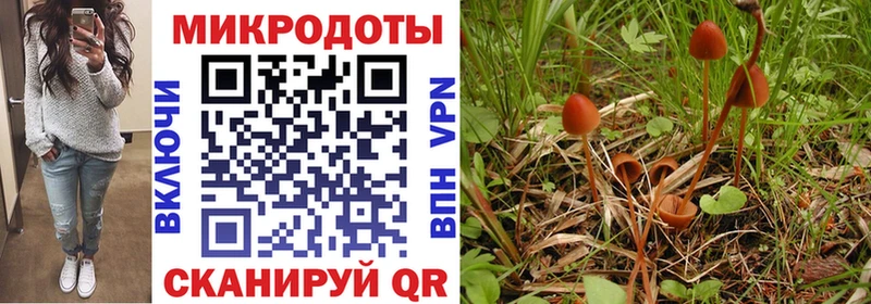 Галлюциногенные грибы GOLDEN TEACHER  это состав  Батайск  дарнет шоп 